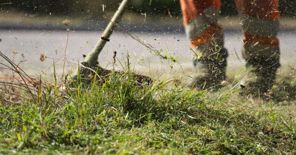 corte de grama em Maceió