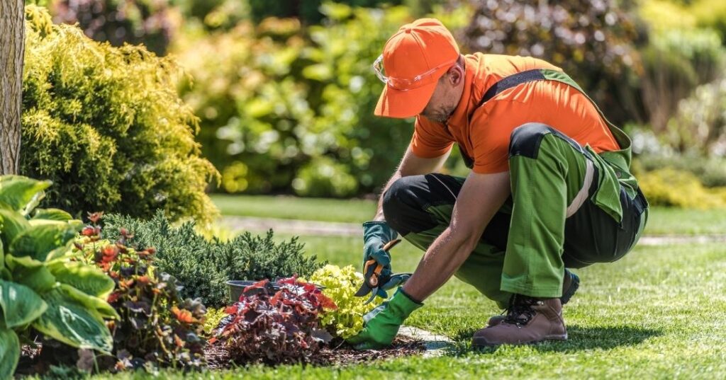 implantação de jardins em Maceió