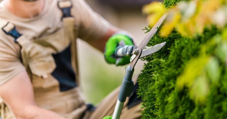 manutenção de áreas verdes em Maceió